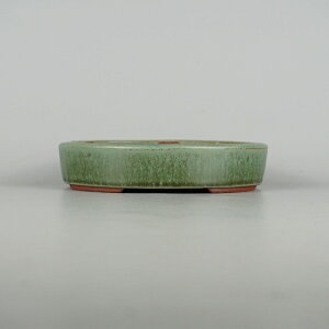 盆栽鉢 常滑 燿山窯 英明 小型 長辺 約18.5cm 楕円鉢 切立 小判 緑釉 釉薬 新品 数量物 送料無料
