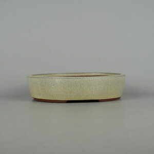 ~͔ 튊 ࠎRq p ^  18.3cm ȉ~ ^   ֖ ʕ Vi 