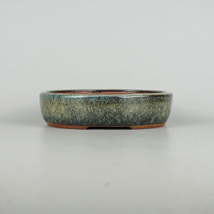 ~͔ 튊 ࠎRq p ^  18.3cm ȉ~ ^  i}R ֖ ʕ Vi 