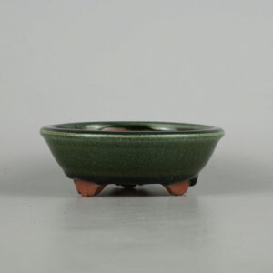 ~͔ ࠎRq p ^   12cm ۔ ֖ i Vi 