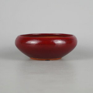 ~͔ ࠎRq p ^   12cm ۔ ֖ i Vi 