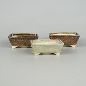 ~͔ 䂤ː 3_Zbg    7.8cm  ֖ i Vi 