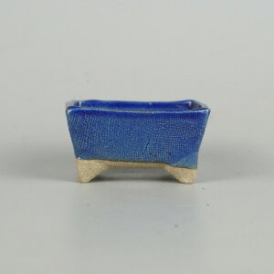 ~͔ 䂤ː   6.2cm  ֖ i Vi