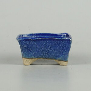 ~͔ 䂤ː   6.3cm  ֖ i Vi