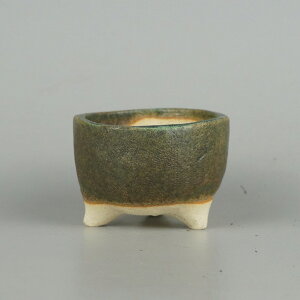 ~͔ 䂤ː    7cm ۔ ֖ i Vi