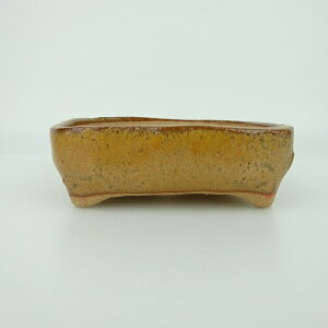 ~͔ 䂤ː ^   12.3cm  ֖ i Vi
