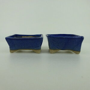 ~͔ 䂤ː 2_Zbg   6.3cm   ֖ i Vi