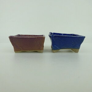 ~͔ 䂤ː 2_Zbg   6.5cm    ֖ i Vi