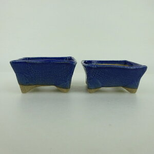 ~͔ 䂤ː 2_Zbg   6.7cm   ֖ i Vi