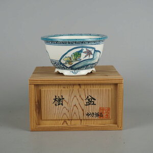 ~͔ 䂤ː   10cm ۔ FG gt ~W ؗt   Ϗܗp i Vi