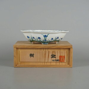 ~͔ 䂤ː ^  14.2cm ؉Z O FG  ͂ ni A  Ϗܗp i Vi