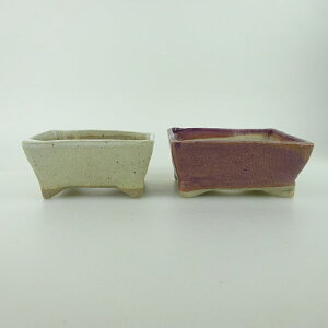 ~͔ 䂤ː 2_Zbg   8.5cm    ֖ i Vi