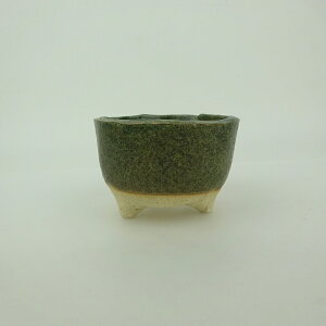 ~͔ 䂤ː    7.3cm ۔ ֖ i Vi