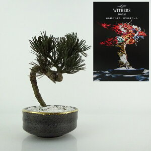 盆栽 飾り 枯れない盆栽 五葉松 高さ 約12cm Withers Bonsai 再生盆栽 フェイク盆栽 フェイクグリーン プリザーブド アート インテリア 鑑賞用 観賞用 小品 現品