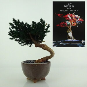 盆栽 飾り 枯れない盆栽 杜松 トショウ 高さ 約15cm Withers Bonsai 再生盆栽 フェイク盆栽 フェイクグリーン プリザーブド アート インテリア 鑑賞用 観賞用 小品 現品