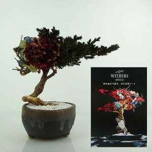 盆栽 飾り 枯れない盆栽 杜松 紫陽花 高さ 約16cm Withers Bonsai 再生盆栽 フェイク盆栽 フェイクグリーン プリザーブド アート インテリア 鑑賞用 観賞用 小品 現品