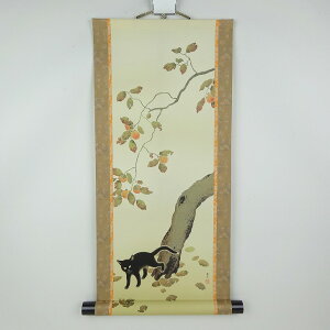 ~͏ | `ɔL  60cm ~ | Hct    Y  R쑐 Ϗܗp Vi ʕ 