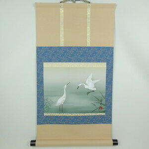 ~͏ |   64cm ~ | g䗖 {    Y  R쑐 Ϗܗp Vi ʕ 