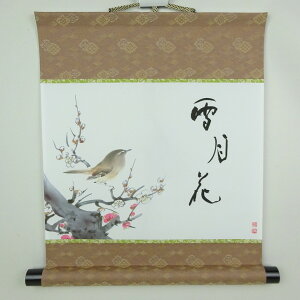 ~͏ | ጎ  42cm ~ | b T ~ g~   Y  R쑐 Ϗܗp Vi ʕ 