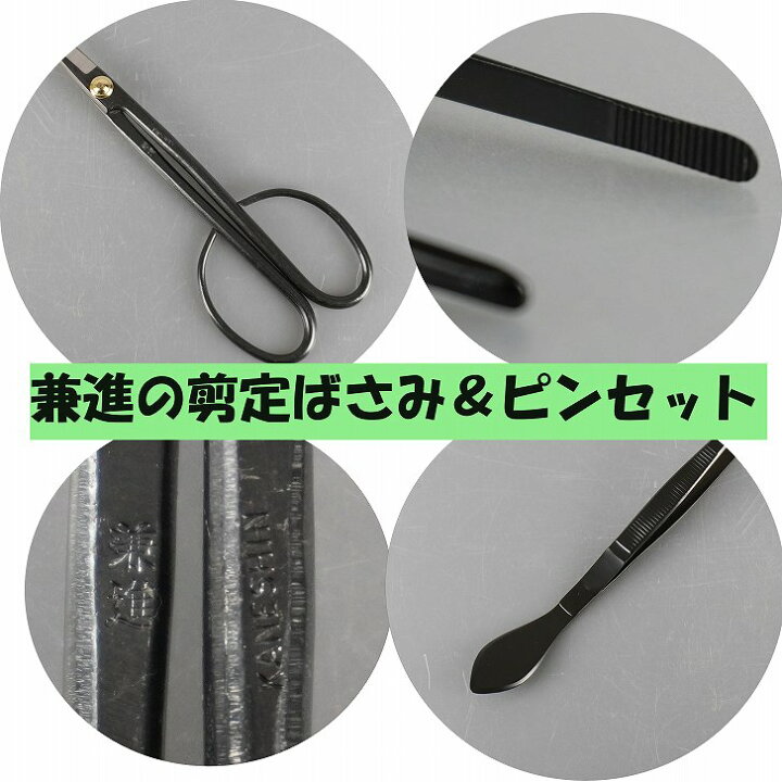 楽天市場】盆栽 お手入れ セット 初心者セット 兼進 剪定ばさみ へら 