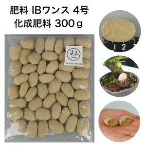 엿 IBX 4 엿 300g 3cm  Ɍ u ǔ { f _ J 8`12~͔엿 |pi | K[fjO 1000~|bL |bL ۂ