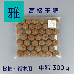 엿   ʔ  a  2cm 300g ~͗p  ؎ u ǔ { f _ J  40`50  G ~ Ō` 엿 miyabi ݂ ~͗pi |pi | K[fjO 1