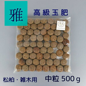 엿   ʔ  a  2cm 500g ~͗p  ؎ u ǔ { f _ J  40`50  G ~ Ō` 엿 miyabi ݂ ~͗pi |pi | K[fjO 1