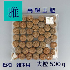 엿   ʔ 嗱 a  3cm 500g ~͗p  ؎ u ǔ { f _ J  40`50  G ~ Ō` 엿 miyabi ݂ ~͗pi |pi | K[fjO 1