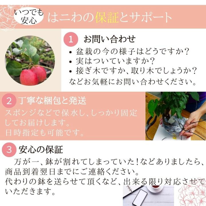 楽天市場】【中古】盆栽鉢 九谷美山 丸鉢 中古鉢 送料無料 : 盆栽はニ 