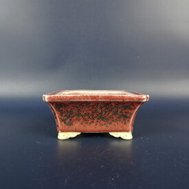 【中古】盆栽鉢 景仙 小鉢 長辺 約6.9cm 長方鉢 外縁 隅入 雲足 釉薬 現品 中古鉢 送料無料