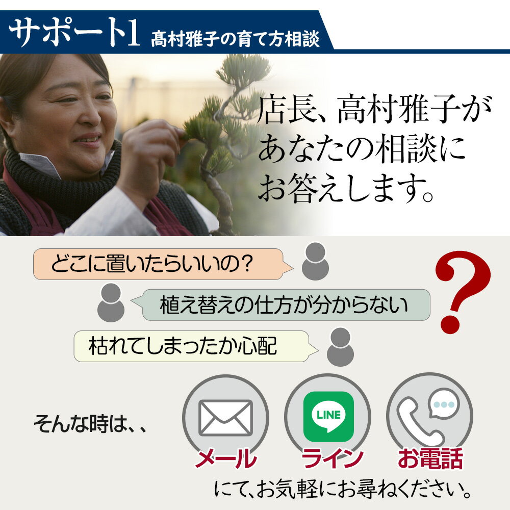 盆栽もみじ紅葉