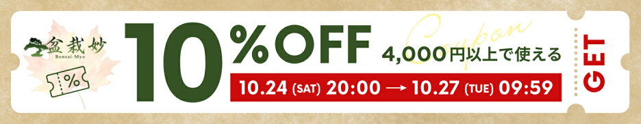 お買い物マラソン 4,000円以上で10%OFFクーポン 10/24 20:00-10/27 09:59