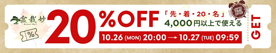 お買い物マラソン 4,000円以上で20%OFFクーポン 先着20名 10/26 20:00-10/27 09:59
