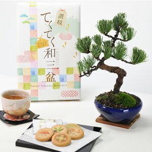 ܗt۔ƘaO~NbL[ ~ ~j~ aj ސEj Mtg v[g A XC[c Ăَq bonsai