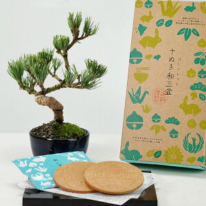 ~jܗtۏƘaO~S[tbg ~ ~j~ ~jܗt aj ސEj Mtg v[g A XC[c Ăَq bonsai