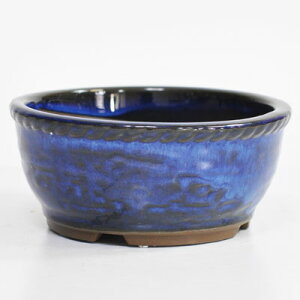 ~͔ R쑐 튊 Ȃ܂۔  12cm  6cm 4 픫 ~j~͔ ~j ~͗p@F a Aؔ a  R쑐 ~͏ ~j~ ~ bonsai ~͖   ܗt Ԃ  