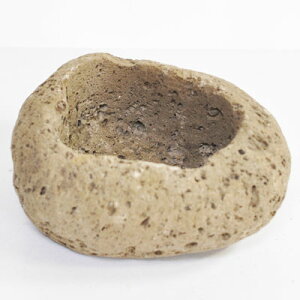 ~͔ R쑐 y   15cmO ×  6cmO ~ ۖ~ eE bonsai ~͖