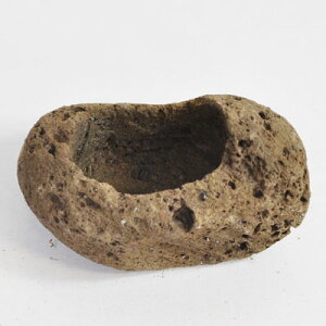 ~͔ R쑐 y   13cmO ×  5cmO ~ ~j~ ۖ~ eE bonsai ~͖