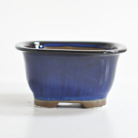 盆栽鉢 山野草鉢 常滑焼 長角鉢 撫角 生子 深藍色 4号 鉢 幅 12 cm 高さ 6.5cm ミニ盆栽鉢 陶器鉢 青色 定番 ミニ 鉢 盆栽用 和風 植木鉢 和鉢 小鉢 盆栽小鉢 おすすめ 山野草 松柏 五葉松 桜 梅