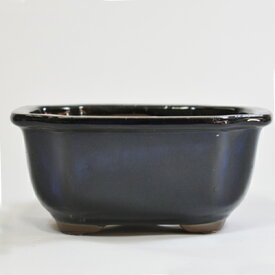 盆栽鉢 山野草鉢 常滑焼 モッコ青 長角鉢 幅　約 13cm 高さ 約 5cm 4号 〜 4.5号 陶器鉢 定番 ミニ盆栽鉢 ミニ 鉢 盆栽用 和風 伝統的な 植木鉢 青色 おすすめ 松柏 五葉松 黒松 花もの 桜 長寿梅 梅
