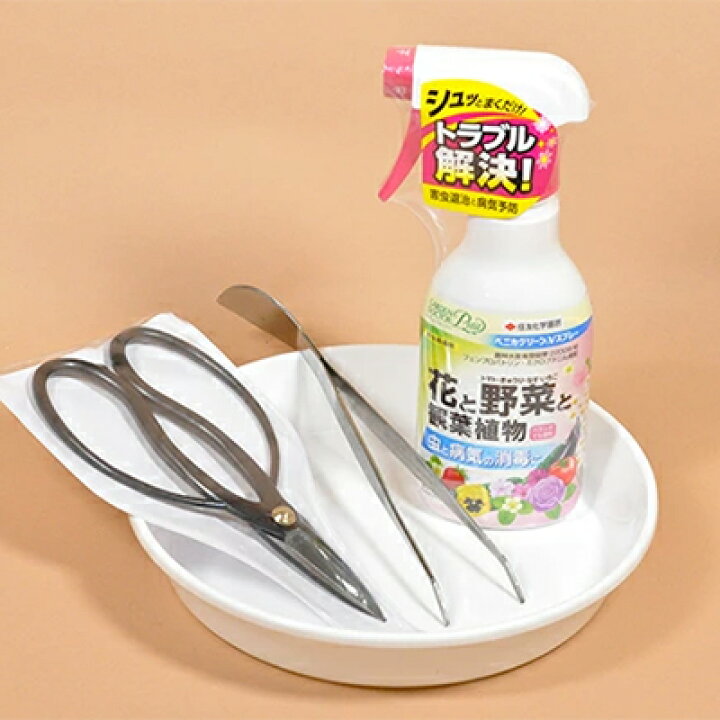 楽天市場 盆栽 道具セット 入門 4点 盆栽道具 初心者 セット 盆栽鋏 園芸トレー ピンセット 殺虫剤 盆栽セット キット 退職祝い プレゼント 男性 定年 上司 父 記念品 退職 祝い 盆栽妙 楽天市場店