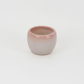 盆栽鉢 萬古焼 万古焼 白桃 2号 1501-PK 幅6.2cm×高さ5cm 陶器鉢 なめなか モダン ミニ盆栽 ミニミニ 盆栽 和モダン 和鉢 盆栽妙