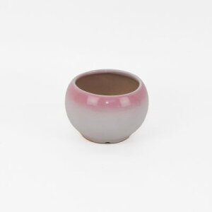 ~͔ ݌Ï Ï  2.5 1502-PK 8cm×5.7cm 픫 Ȃ߂Ȃ _ ~j~ ~j~j ~ a_ a ~͖