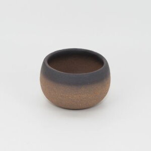 ~͔ ݌Ï Ï  2.5 8.5cm×5cm