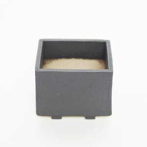 ~͔ ݌Ï Ï  2.5 p  8.5cm×6.5cm 픫 ~j~ ~j~j ~ lp ` a a ~͖