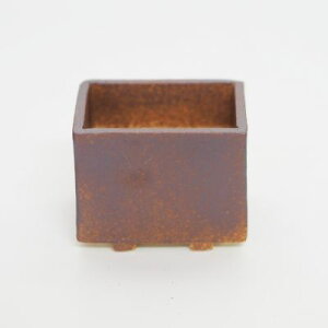 ~͔ ݌Ï Ï  2.5 p  8.5cm×6.5cm 픫 ~j~ ~j~j ~ lp ` a a ~͖