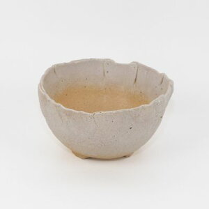 ~͔ ݌Ï Ï  5 ی^R 15cm×7.5cm 픫  ~j~ ~ a a  ~͖