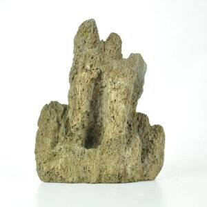 ~  VR  A͎R 10-15cm 15-20cm ΎR R Yi ~͏ u ~͑i ^ ~͖