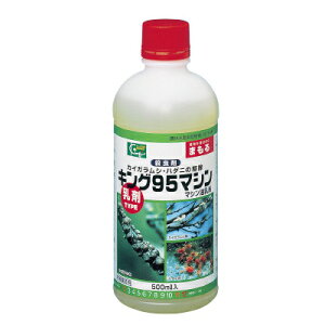 ~͓ y߃^Cvz}V 500ml LO|