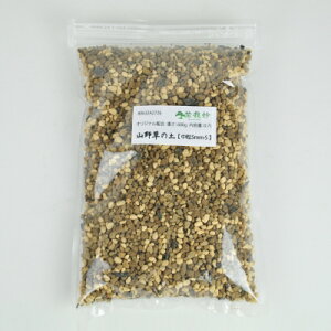 ~͗py R쑐̓yy5mm-Sz IWizd:600ge:0.7L ~͖ Aւ ~j~ y ~bNX 